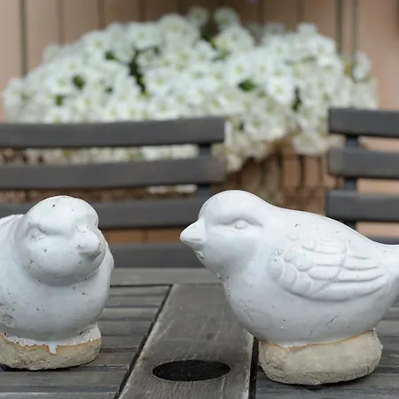 Gospodarstwo wiejskie Locanda Castel De Britti San Lazzaro di Savena