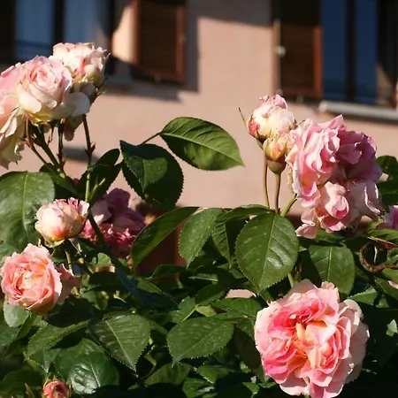 Locanda Castel De Britti