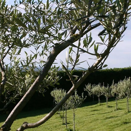 منزل ريفي Locanda Castel De Britti *