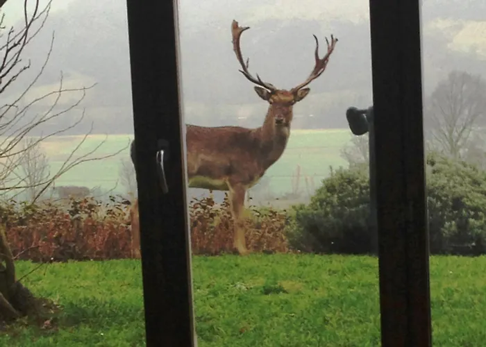 Kır Evi Locanda Castel De Britti *