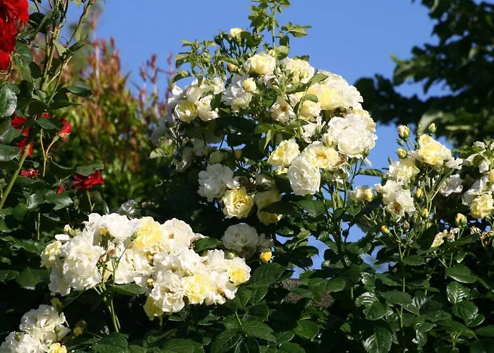 Locanda Castel De Britti