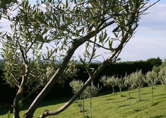 Gospodarstwo wiejskie Locanda Castel De Britti *